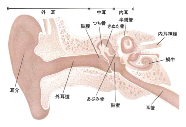 【みみ】の病気